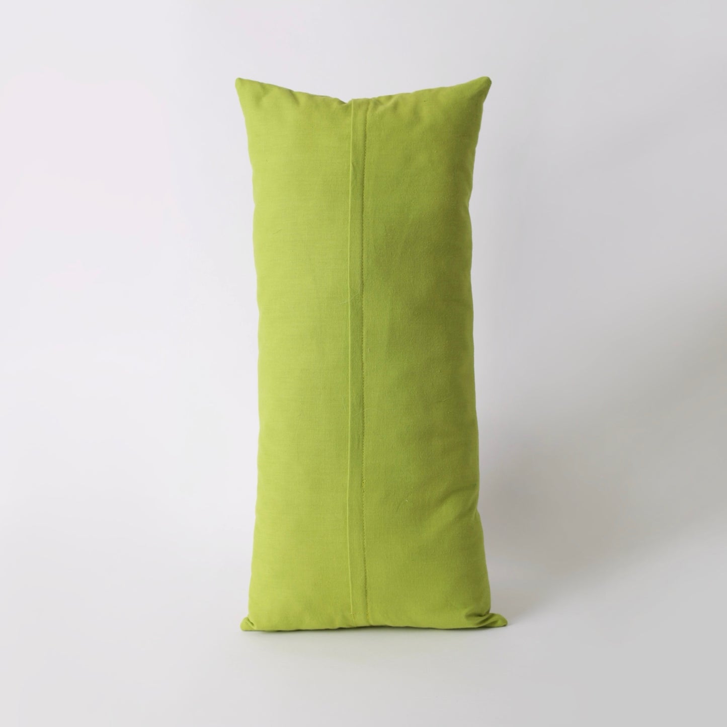 Light green Embroidered rectangle cotton cushion